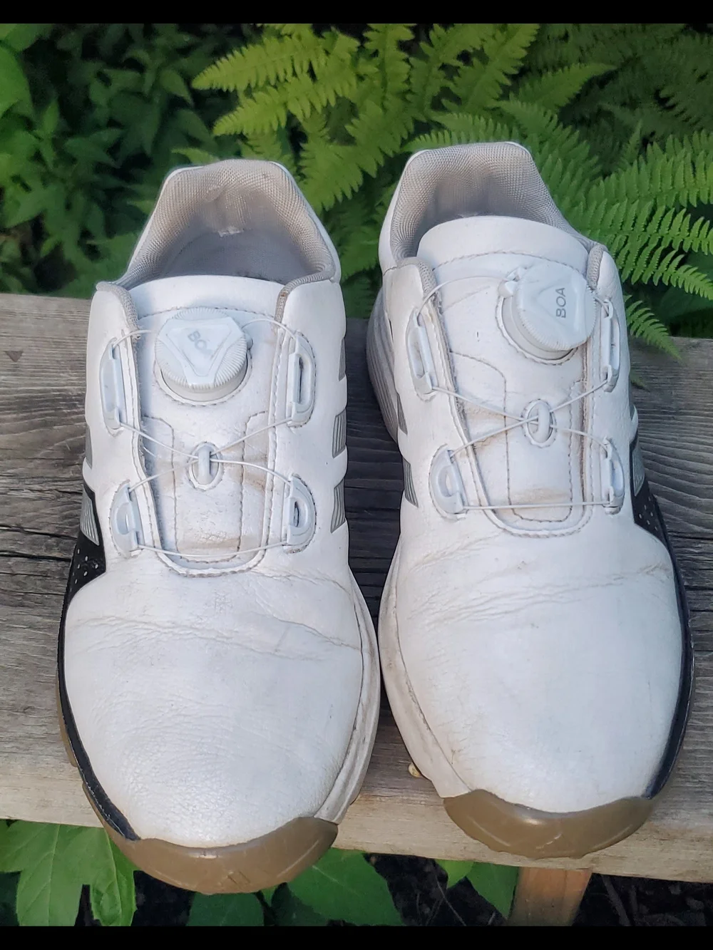 adidas White and Black Men's Golf  Cleats with Boa Closure